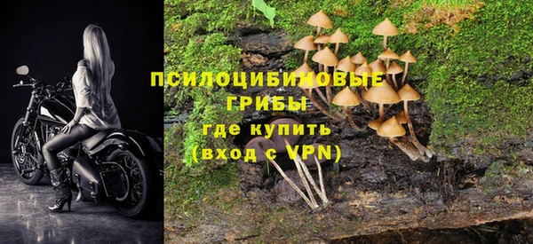 ECSTASY Майский