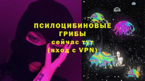 ECSTASY Майский
